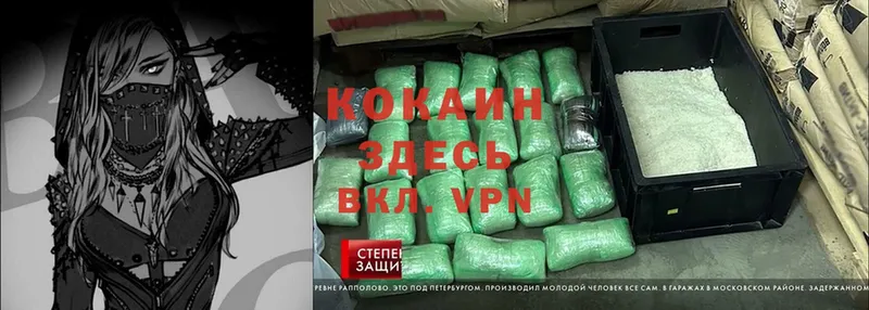 Cocaine FishScale  дарк нет телеграм  Руза  купить наркоту 