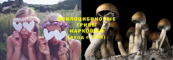 спиды Осинники