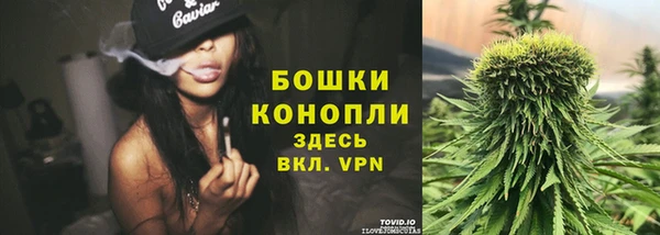спиды Осинники