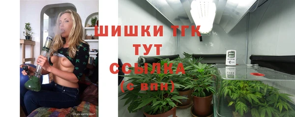 прущие грибы Пересвет