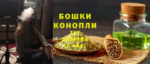 прущие грибы Пересвет