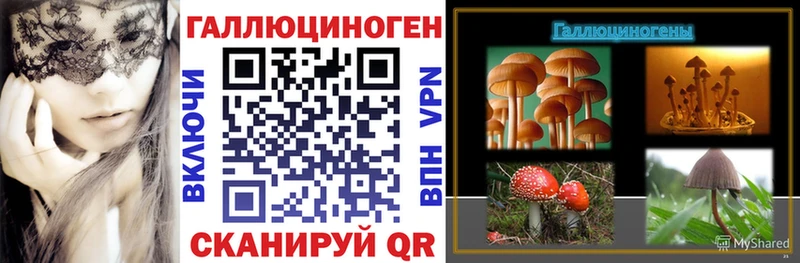 Галлюциногенные грибы MAGIC MUSHROOMS блэк спрут зеркало Руза
