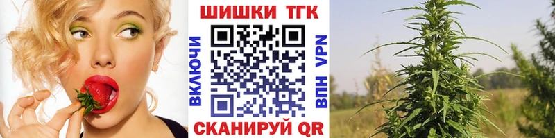 Бошки марихуана сатива  Руза 